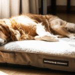 A contented dog deeply asleep on a plush, supportive bed in a cozy, sunlit home. Pure canine comfort.