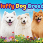 alt_text: A vibrant outdoor scene with fluffy dogs playing among flowers; title "Fluffy Dog Breeds" shines bright.